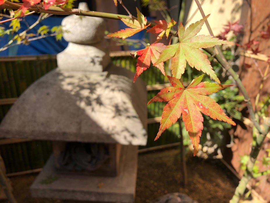 写真 2018-10-26 10 34 37