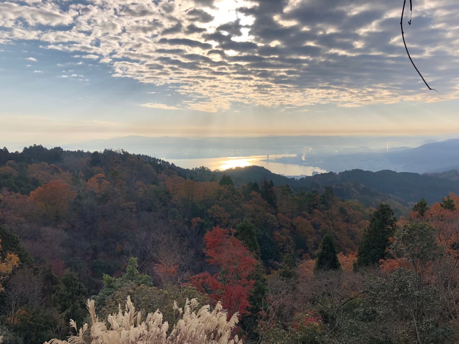 写真 2018-11-25 8 16 20