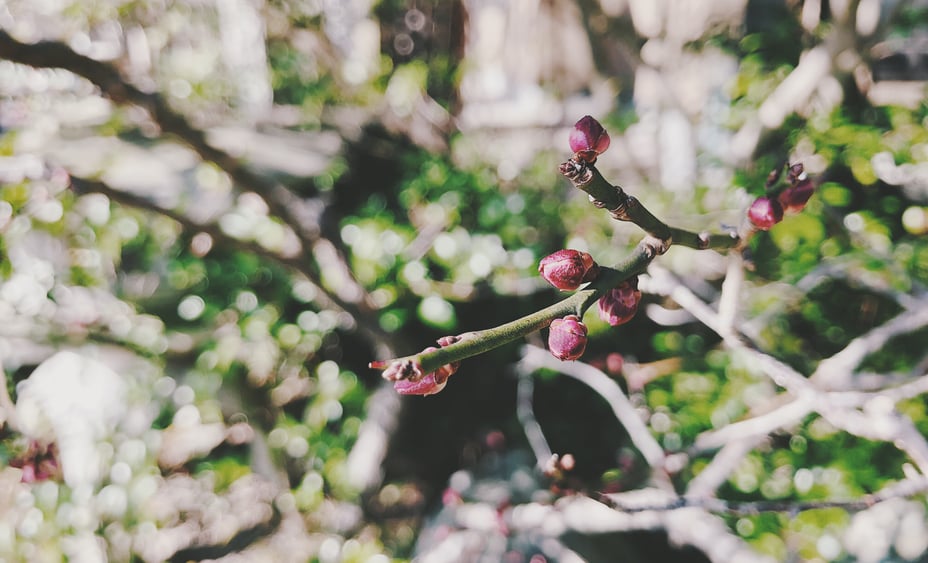 写真 2019-01-13 13 19 11