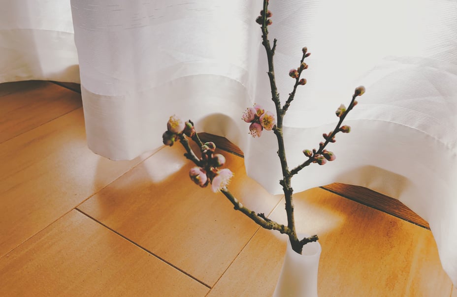 写真 2019-02-04 10 56 18
