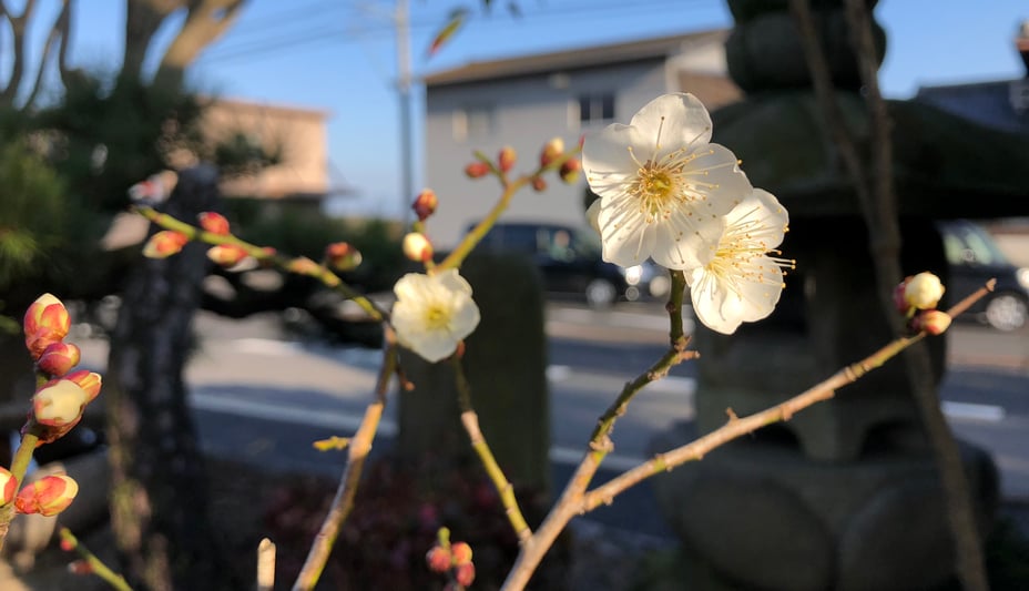 写真 2019-02-06 15 34 00