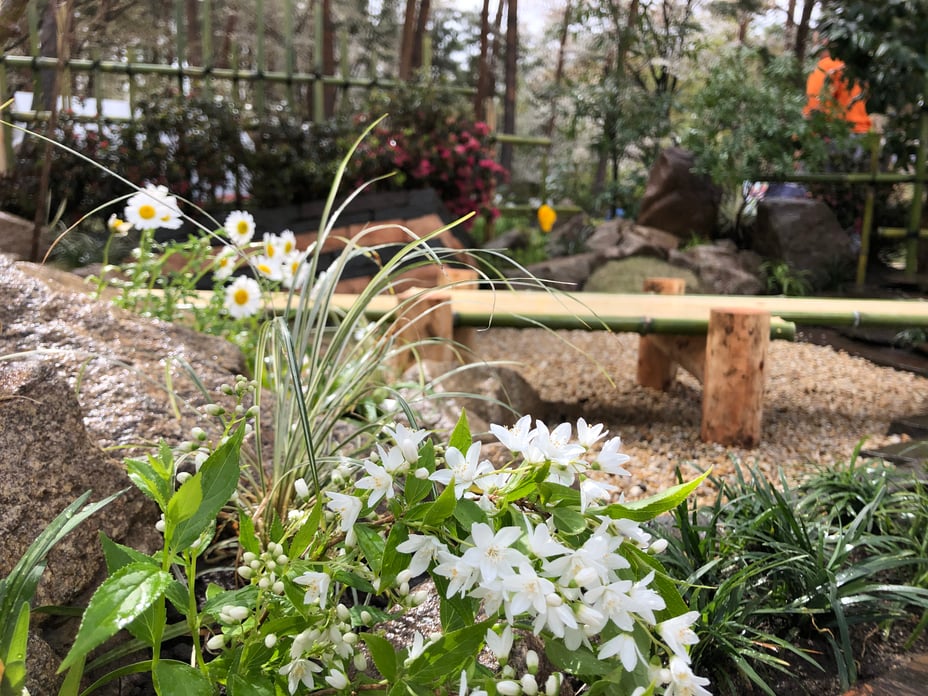 写真 2019-04-28 14 32 19