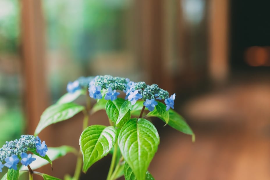 20190607-0P0A8916