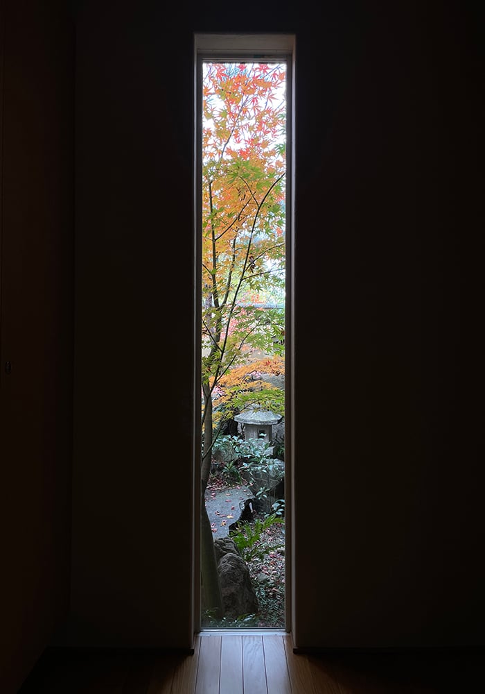 窓　庭づくり 秋 紅葉 坪庭