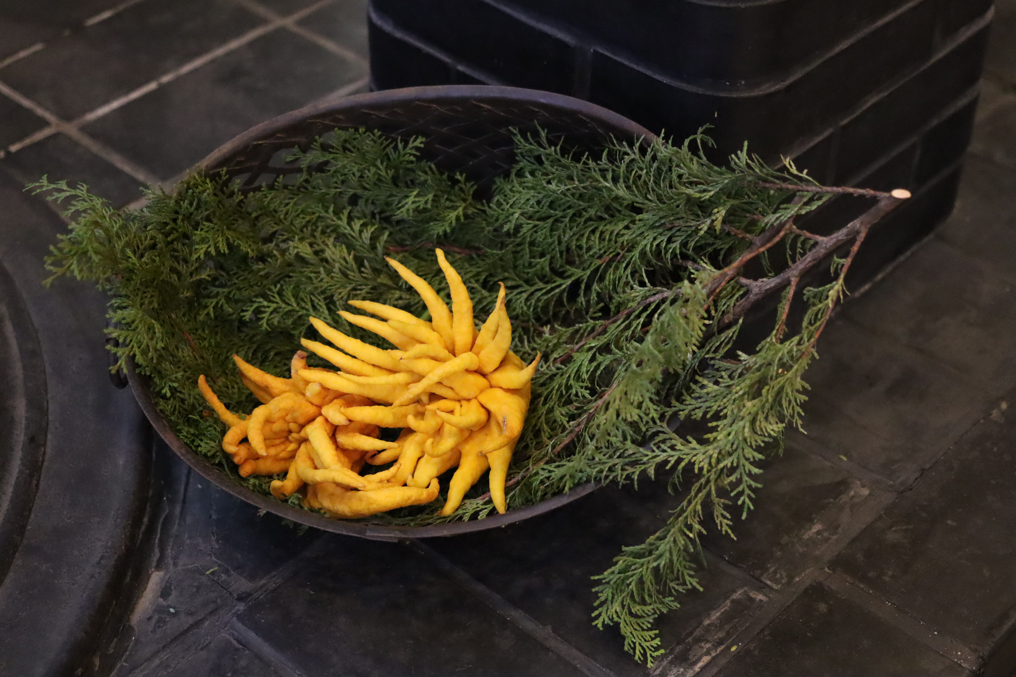 星の数だけ、仏手柑