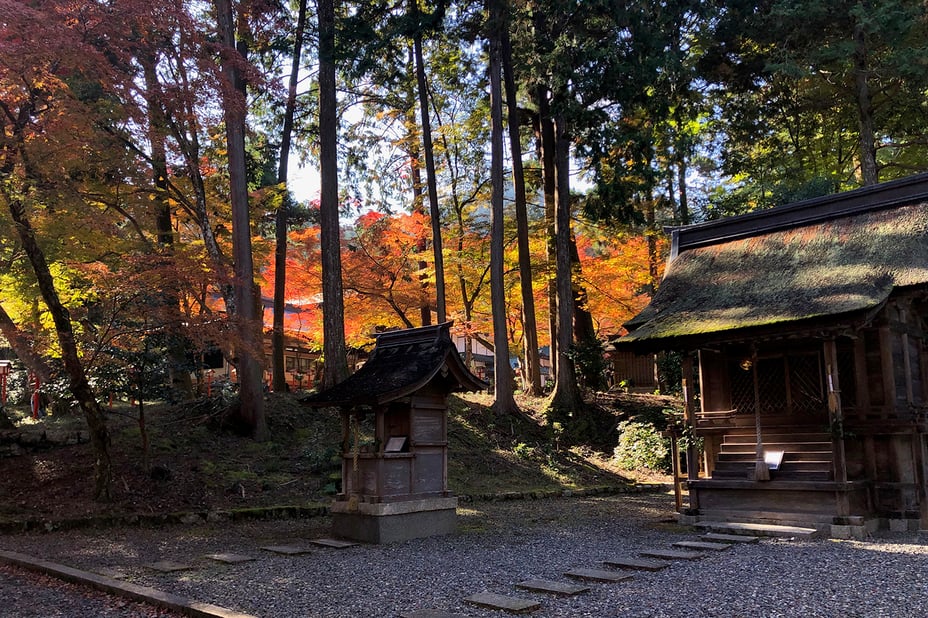 日吉大社 紅葉 空間 四季の庭づくり