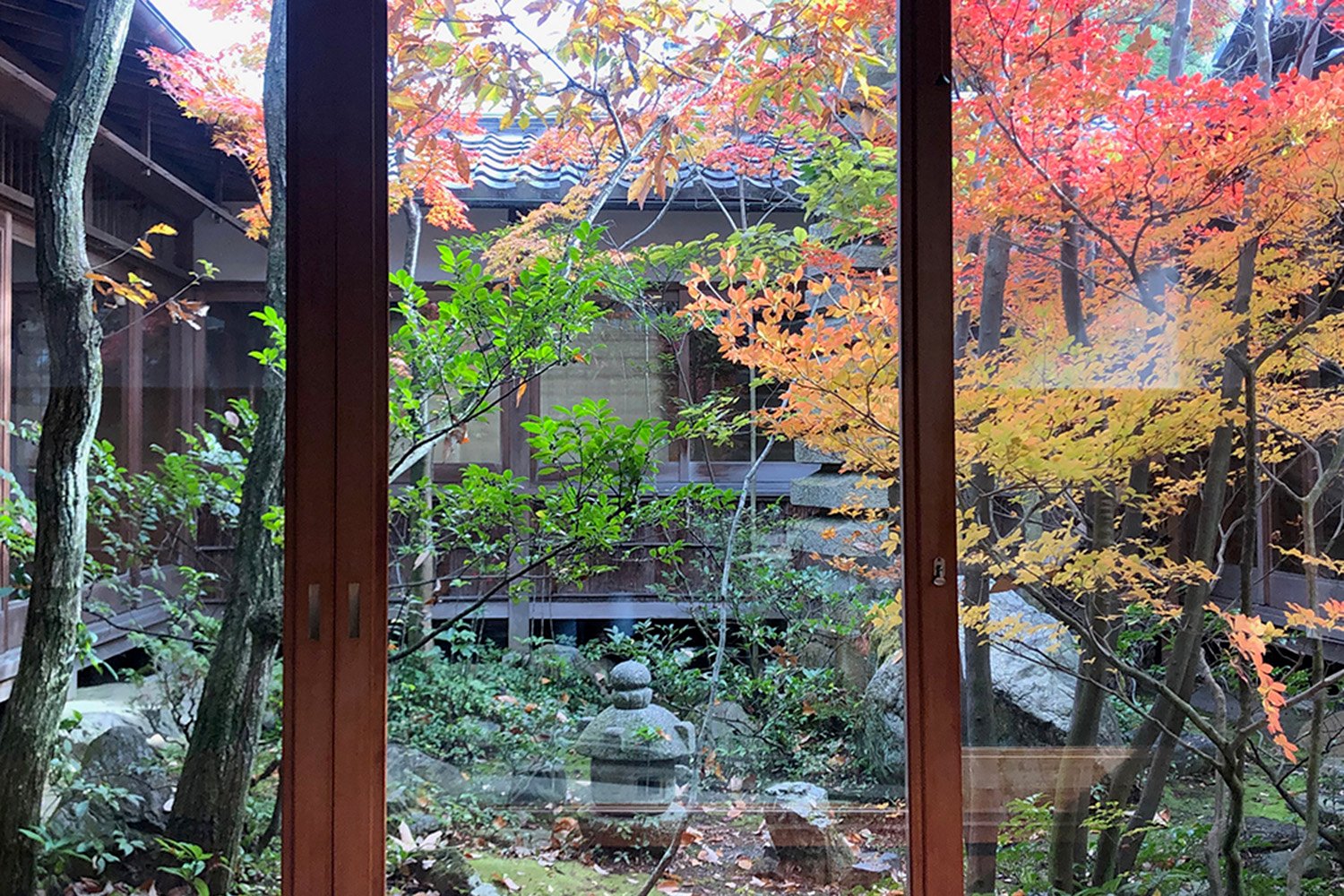 近江庭園  紅葉の空間 四季の庭づくり