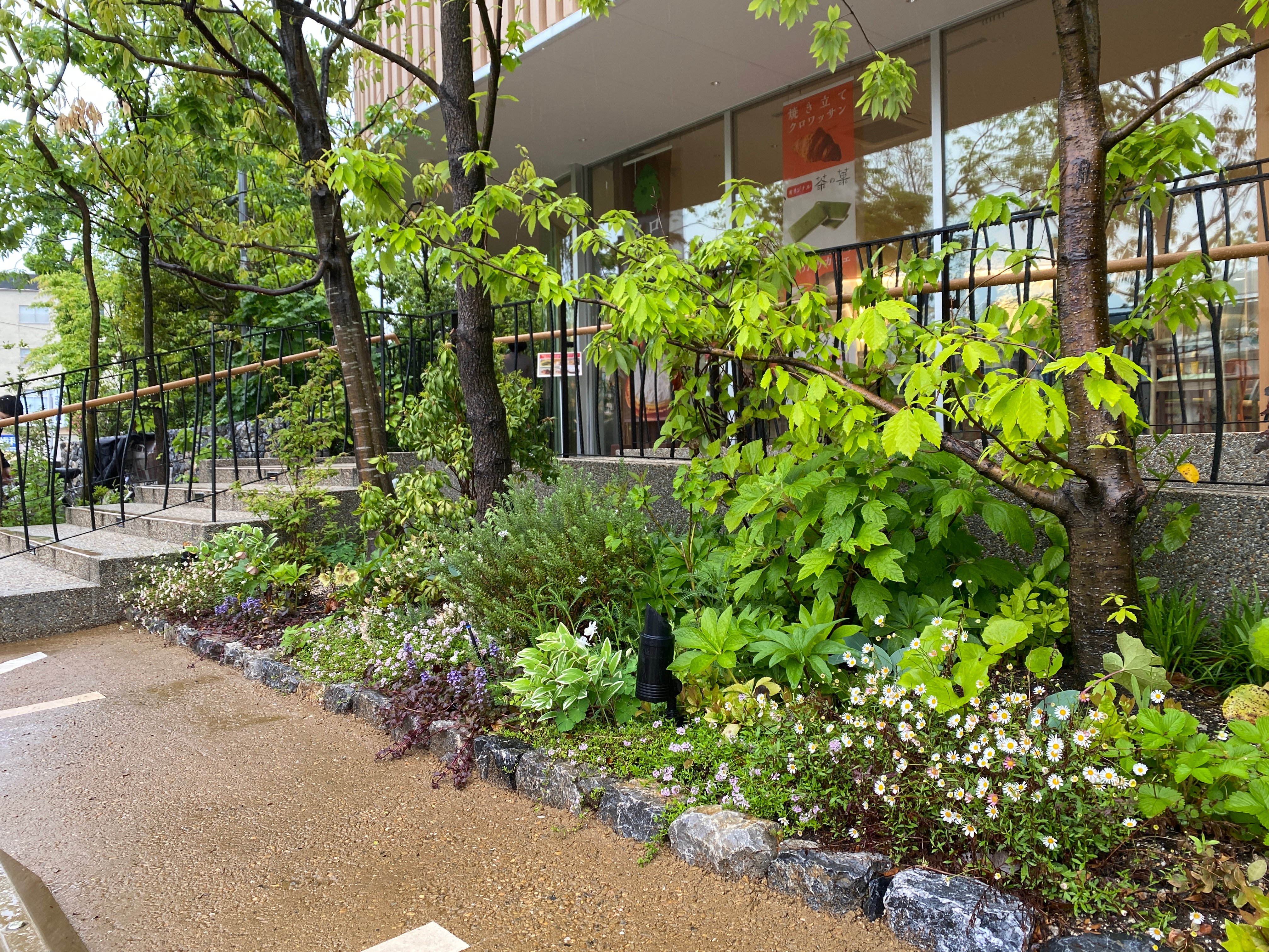 初夏に向かうお庭 配植の工夫 初夏に向かうお庭 配植の工夫