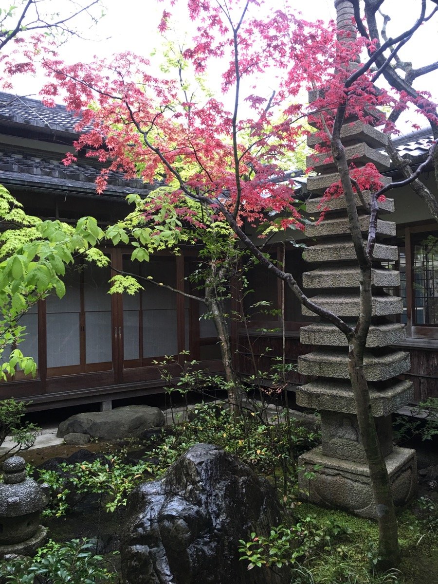 2016-04-21 10.45.07.jpg