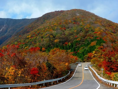 庭師が勧める 滋賀県のおすすめ紅葉スポット7選