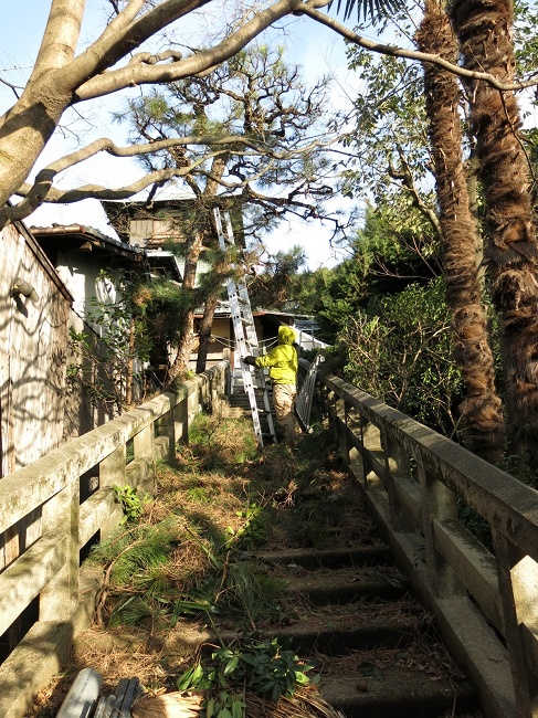 AR_201202082.jpg