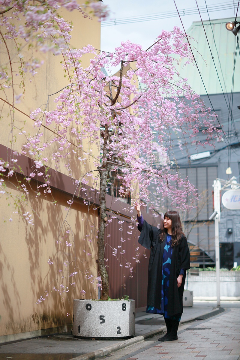 SOU・SOU枝垂桜
