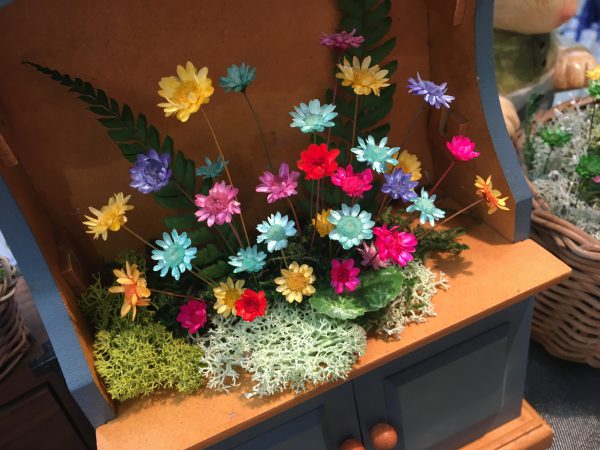 不思議なお花 フェニックスフラワー 不思議なお花 フェニックスフラワー