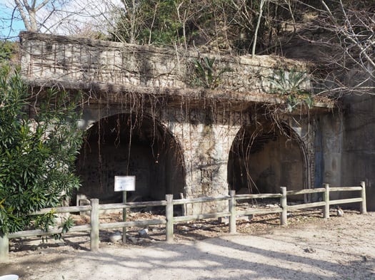 うさぎと廃墟の楽園 大久野島へ行ってきました うさぎと廃墟の楽園 大久野島へ行ってきました