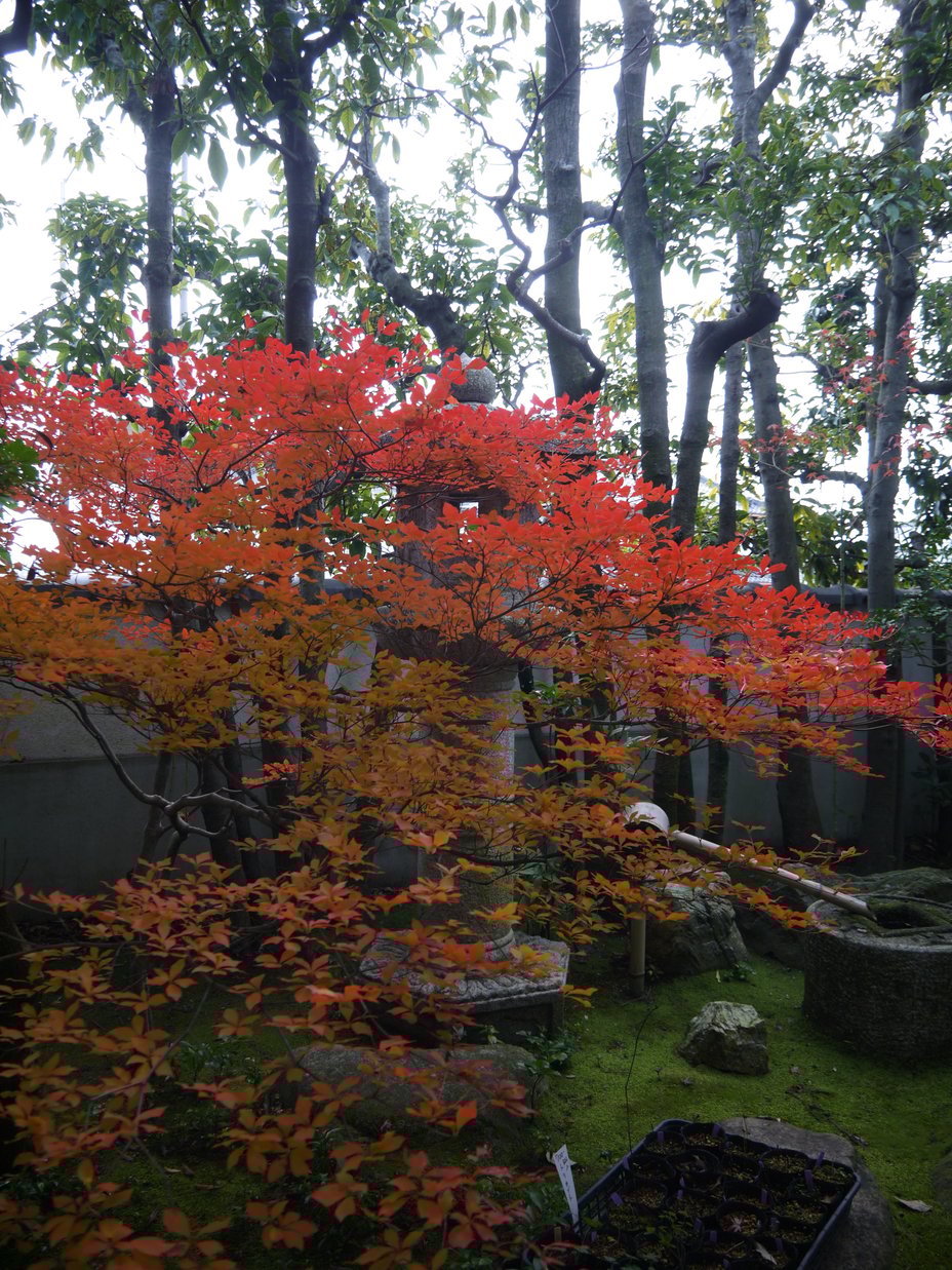 P1030112