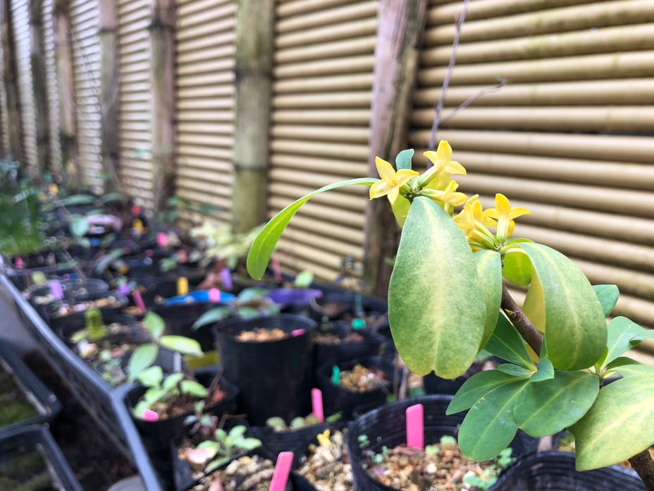 Photo 2019-03-14 9 34 16-1